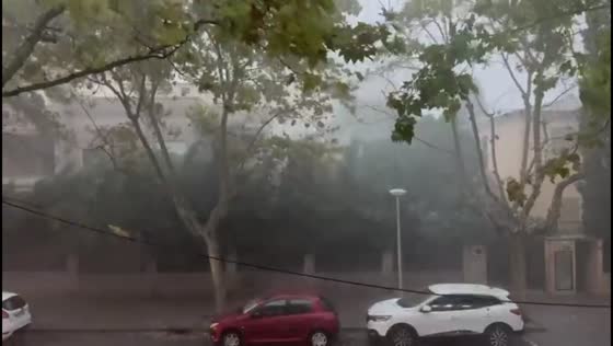 Severe rainstorm and strong winds hit Palma de Mallorca, Spain
