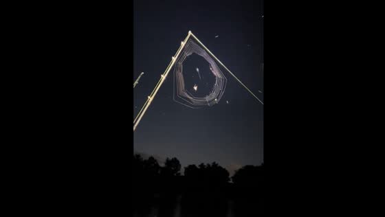 Spider weaves web on fishing rod during night fishing on Cumberland River, Clarksville, TN