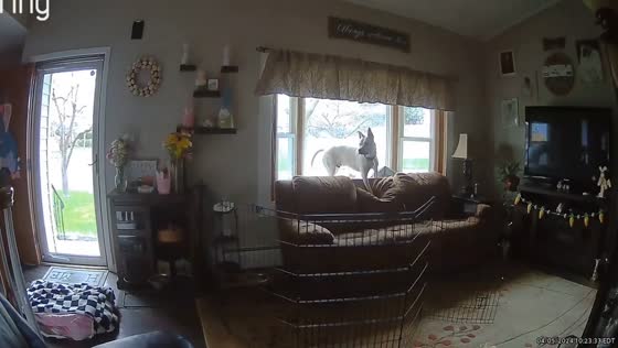 Indoor ring cam captures New Jersey earthquake: 15 miles from epicenter