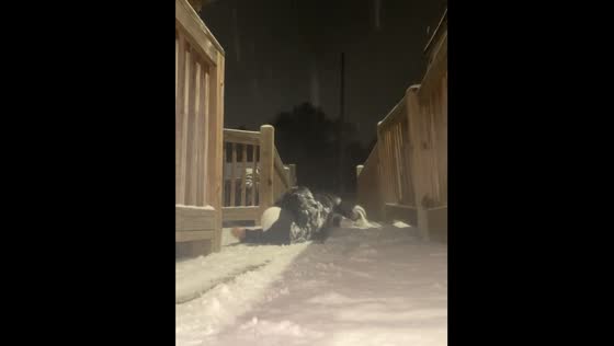 Person falls while trying to slide on snow in Splendora, Texas