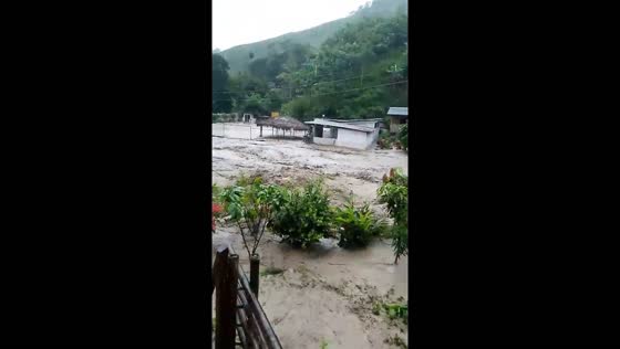 Baloy River floods Parroquia Pedernales: farmer rescues animals amid rising waters