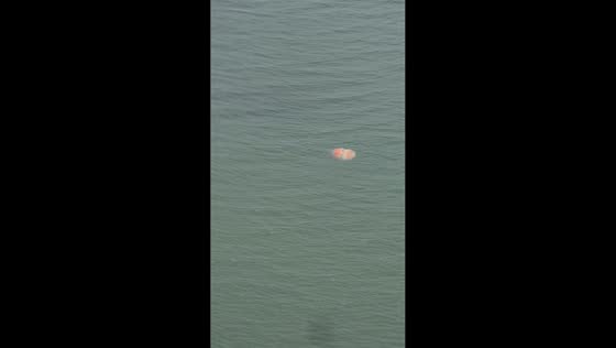 Huge jellyfish floats near a rock formation in the ocean in Shaanxi, China
