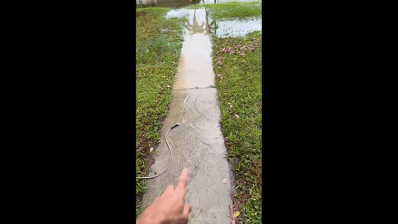 Man jokes about flooding yard after heavy rain in Palm Beach, Florida, USA