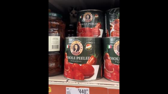 Kitten hides among canned goods in a Manila supermarket, Philippines