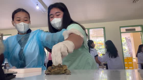 Frog fiasco: lab practical chaos in Earth and Life Science class