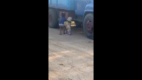 Quick-thinking child saves dog from collision on scooter