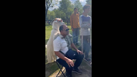 Goat wearing glasses climbs on tourist for photo in Betab Valley, India