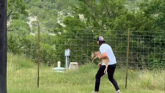 Man rescues fawn stuck in fence in Fredericksburg, Texas, USA