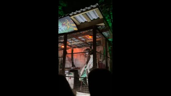 Tulleys Farm Zombie event amazes visitors in Crawley, UK