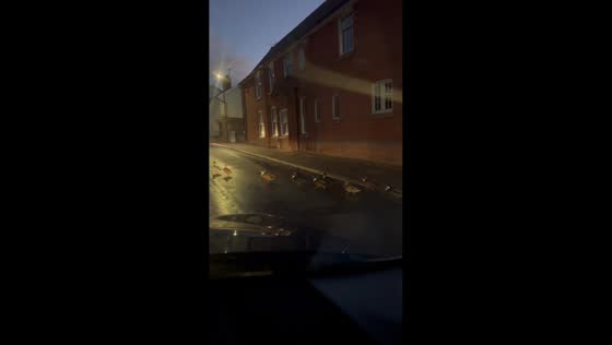 Ducks stop traffic while crossing the road in Diss, UK