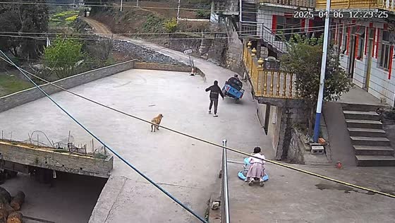 Elder woman overturns electric tricycle during practice in Guizhou, China
