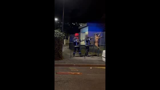 Firefighters rescue dog stuck in fence in Paris, France