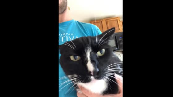 Strange cat growls when asked 'who's the meanest kitty of all?'