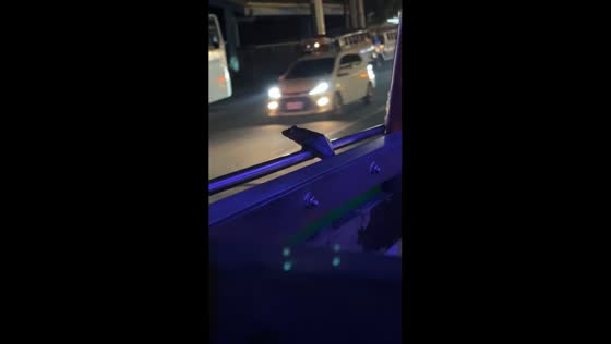 Frog enjoys the ride on a moving minibus in Bacoor, Cavite, Philippines