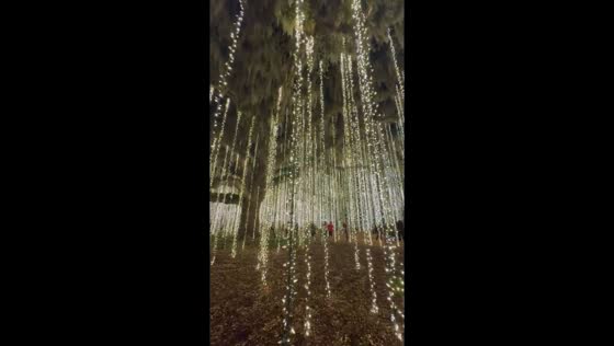 Nights of a Thousand Candles illuminates Brookgreen Gardens, South Carolina, USA