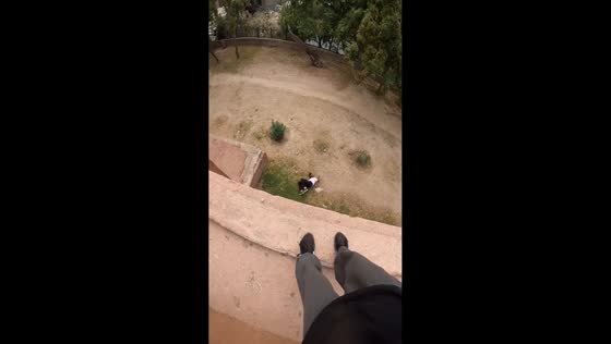 Man falls during parkour jump between buildings in Panipat, India
