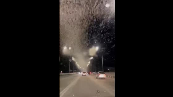 Massive moth invasion: swarms of flying creatures fill the night skies in Yelets, Russia