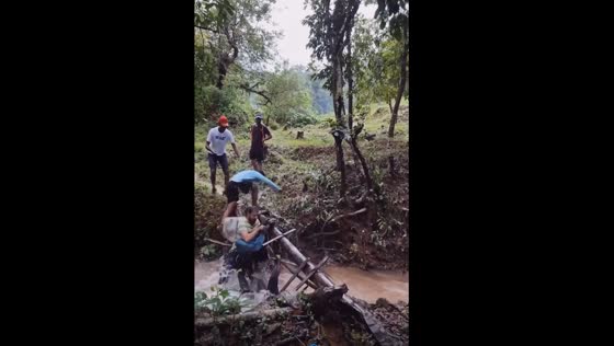 Bridge of peril: tales of survival in Uttara Kannada's waterfall adventure