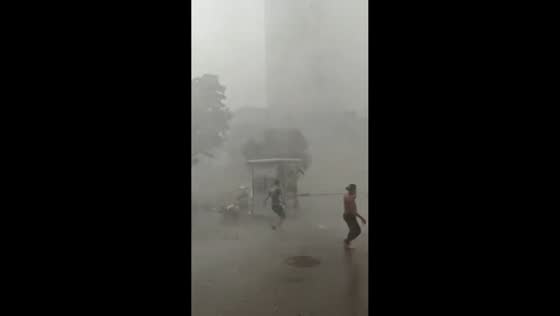 Severe storm brings near-zero visibility to Shaanxi, China