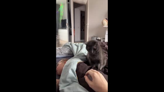Overprotective cat defends baby in Moscow, Russia