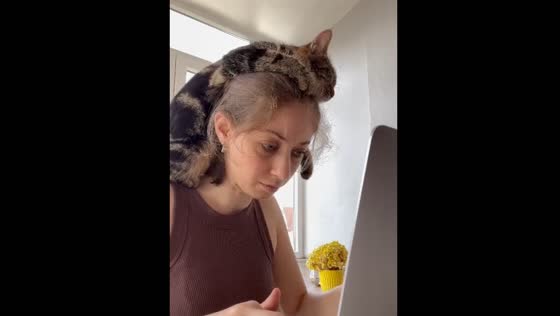 Cat naps on owner’s head while she works in Turkey