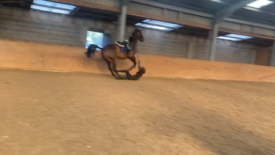 Horse fall due to bad striding over jump in Liverpool