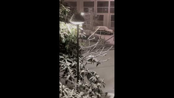 Steady snowfall blankets streets and rooftops in Colombes, France