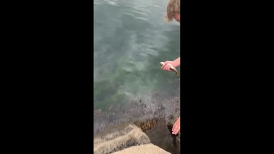 Man slips into the water while holding a fish in Eidfjord, Norway
