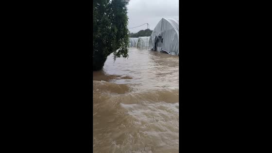 Muddy floodwaters submerge greenhouses in Zhejiang, China