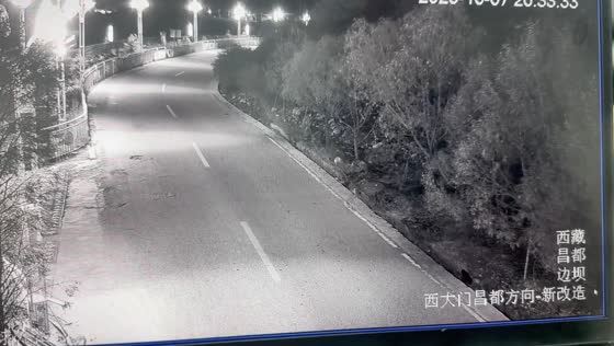 Motorcycle collides with a bear crossing the road in Jiangsu, China