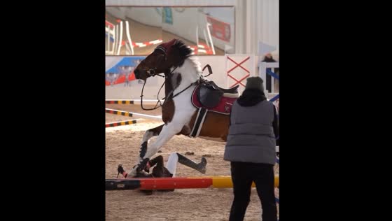 Horse rider crashes into stand after finish in St Petersburg