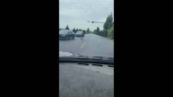 Electric scooter rider swerves across lanes before pulling aside in Hebei, China