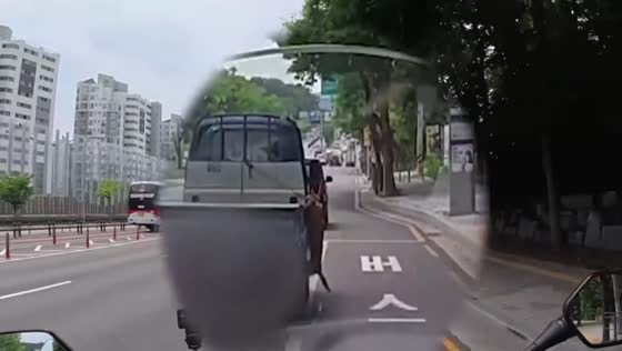 Dog nearly hangs from moving truck in Gangnam-gu, South Korea