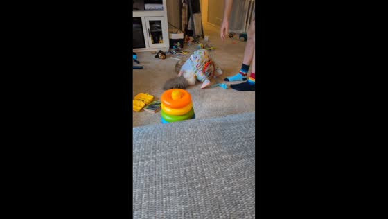 Toddler's surprise hug traps cat inside toy drum in Eden Prairie, Minnesota, USA