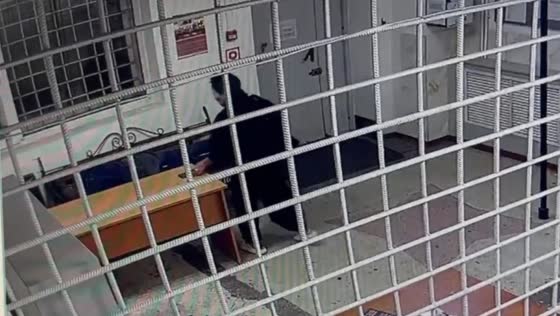 Woman caught stealing phone inside police station in Kamchatka, Russia