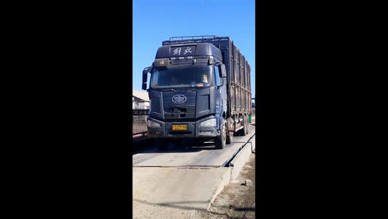 Mischievous dog triggers air horn on truck in Jilin, China
