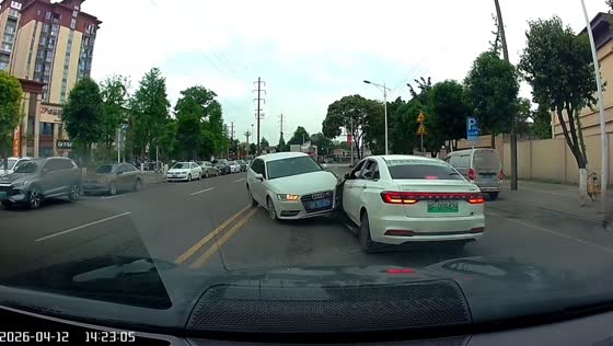 Audi A3 and Venucia D60 Plus collide on road in Sichuan, China
