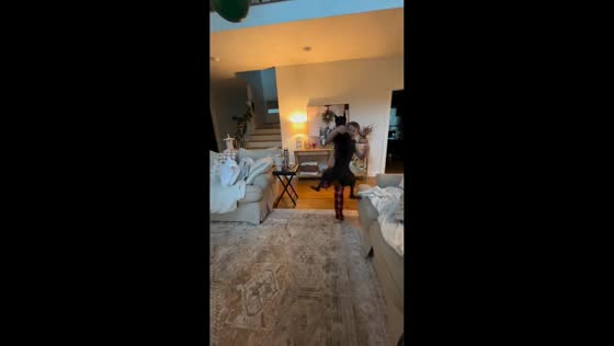 Doberman puppy accidentally tackles child during balloon play in Tallahassee, Florida, USA