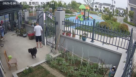 Excited dog misses open gate in hilarious yard escape in Shanghai, China