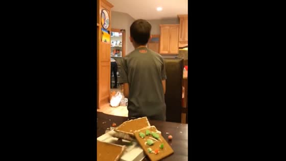 Gingerbread mishap: sibling resilience in Hartland, Wisconsin