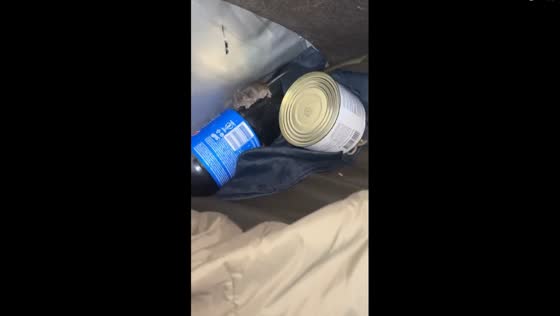 Ukrainian soldier's intense encounter with a persistent rat