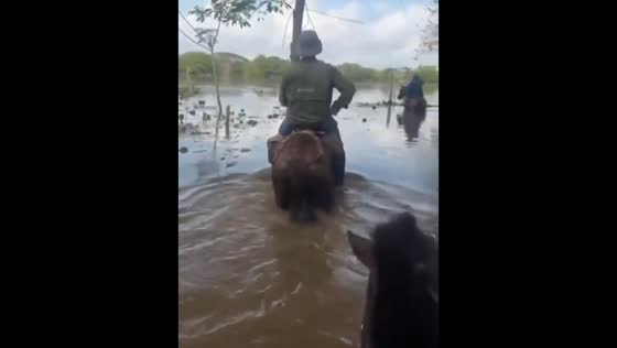 Cattle breeder surveys devastating floods on horseback in Montería, Colombia