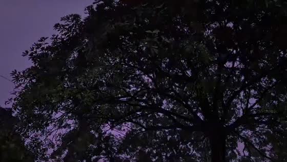 Lightning and thunder during rainy night in Delhi, India