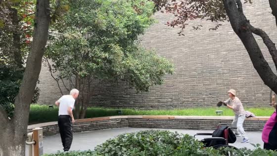 Elderly couple enjoys creative ping-pong game in Shaanxi, China