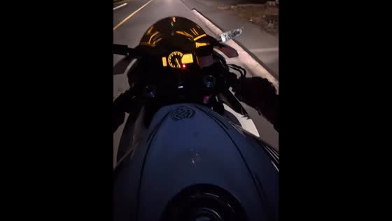 Deer collides with motorcycle during nighttime ride in Victoria, Canada