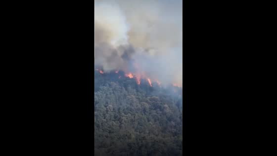 Wildfire burns near Michoacán and El Oro, Mexico