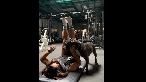 Dog won't leave owner's side during workout in Cuenca, Ecuador