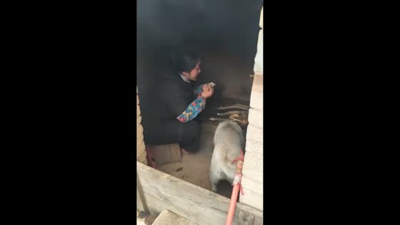 Playful lunch moment with dog in rustic kitchen in Guizhou, China