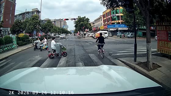 Woman chases loose dog through road before catching it in Shandong, China