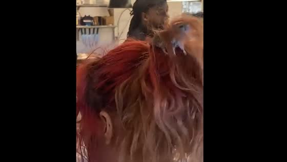 Mouse seen moving in woman's hair at Chipotle in Bridgeport, Connecticut